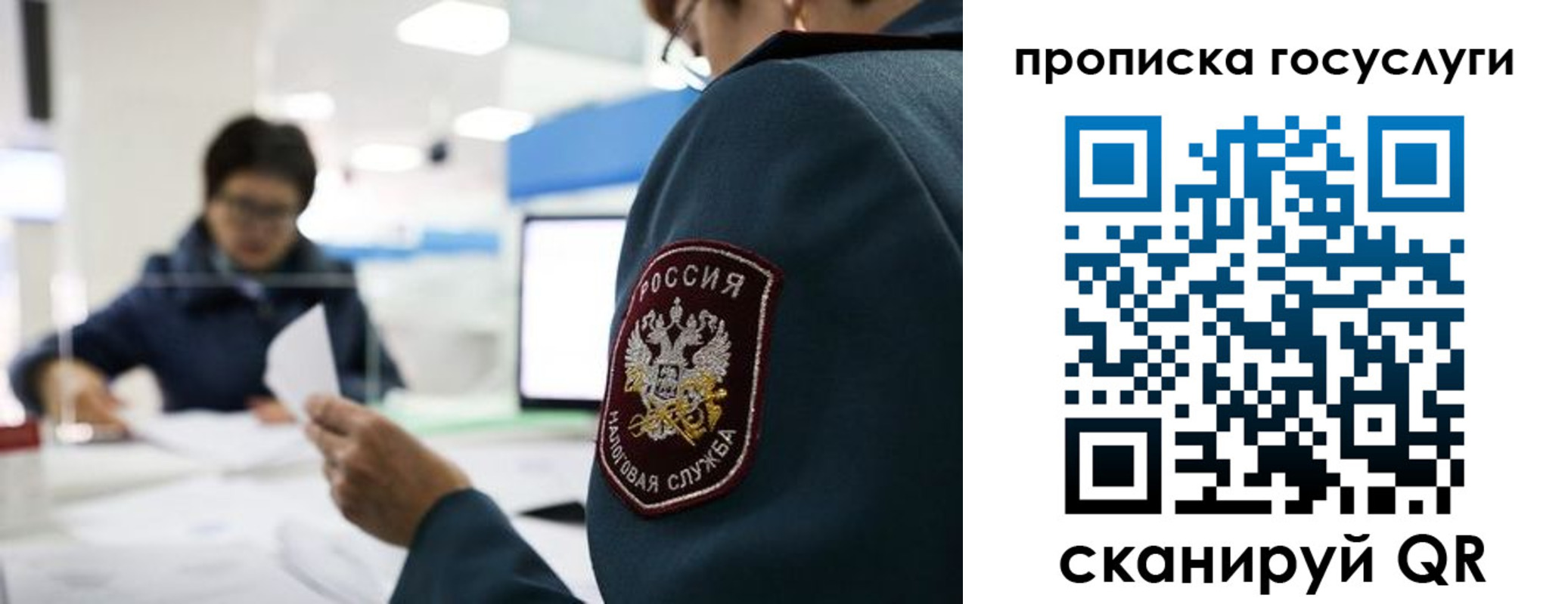 где прописаться в Долгопрудном